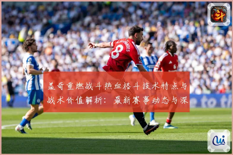 盖奇重燃战斗热血格斗技术特点与战术价值解析：最新赛事动态与深度分析